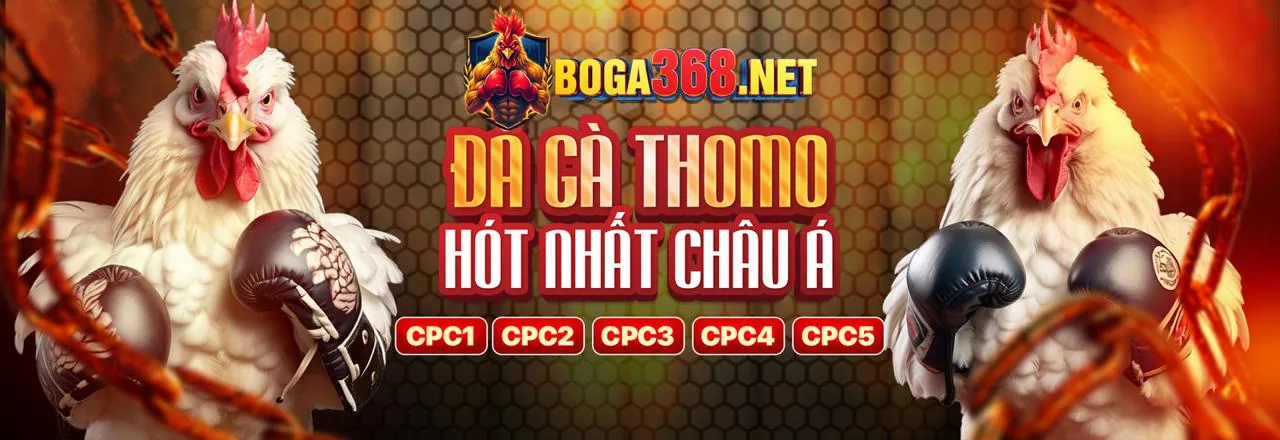 Đá Gà Trực Tuyến Win102 Link Mới 2026